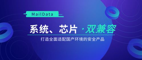 系統(tǒng)芯片雙兼容 maildata打造全面適配國(guó)產(chǎn)環(huán)境的安全防偽典范